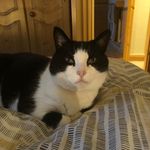 Phil Brookes - @phil.brookes.940 - Instagram