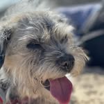 Phil Bryan - @philbryan130 - Instagram
