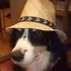 Phil Buckley - @phil.buckley36 - TikTok