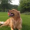 philbuckley171 - @philbuckley171 - TikTok