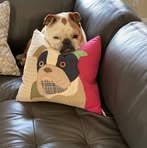 Phillip Buckley - Facebook
