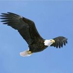 Philip Cassata - @pc_eagle66 - Instagram