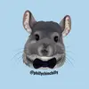 Phil E. Chinchilla - @phillychinchilly - TikTok