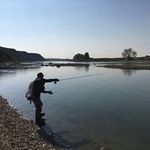 Philip Chow - @chow.philip - Instagram