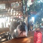 Phil Clegg - @phil.clegg.54 - Instagram