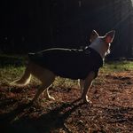 @philclegg - Instagram