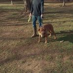 Phil Clevenger - Facebook