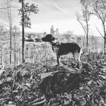 Philip Clevenger - @grousebluff88 - Instagram