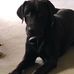 Philip Combs - Facebook