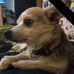 Philip Combs - Facebook