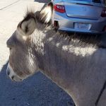 Phil Cooley - @phil.cooley.5036 - Instagram