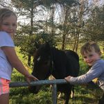 Phil Cooley - @phil.cooley.7 - Instagram