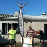 Phil Crosby - @phil.crosby.12 - Instagram