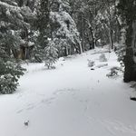 Phil Crosby - @mellow_instrumental - Instagram