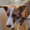 Philippa Crosby592 - @philippacrosby592 - TikTok