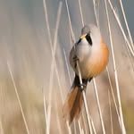 Phil Drury - @phildruryphotography - Instagram