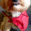 philippefaust - @philippefaust - TikTok