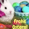 Phil Fischer - @phil.fischer8 - TikTok