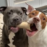 Phil & Floyd - @phil_and_floyd - Instagram