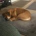 Phil Floyd - Facebook