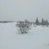PhilipFranklin - @presthqc708 - TikTok