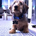 Philbert - @philbert.of.frederick - Instagram