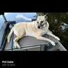 philgable178 - @philgable178 - TikTok