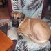 Phil Gaubatz - Facebook