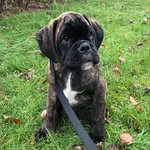 Phil Garner - @philmgarner - Instagram
