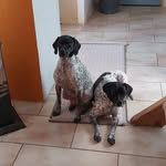 Philippe Giunta - @giuntaphilippe - Instagram