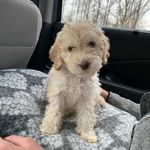 Phil Gomez - @phillyboy0905 - Instagram