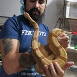 Phil Gomez - @phil_gomez_m - Instagram