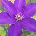 Phil Goodwin - @phil.goodwin.718 - Instagram