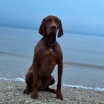 Phil Griffin - @philgriffin9 - Instagram