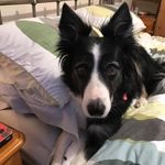 Phil Harding - @phil_harding261 - Instagram