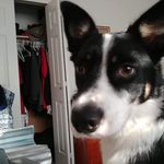 Phil Hewitt - @phil.hewitt.54 - Instagram