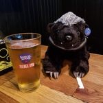 Phil Badger - @philhoneybadger - Instagram