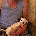 Phil Honey - @tecknine.honey5 - Instagram