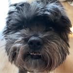 Phil Hubbard - @phil.hubbard.165 - Instagram