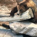 Phil Keller - @philkellerintucson - Instagram