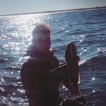 Phil Kemp - @thewaywardwaterman - Instagram