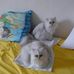 Jean Philippe Kirsch - Facebook