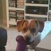 Phil Kirsch - Facebook