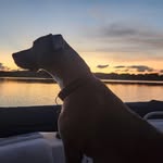 Phil Lacey - @simplejacktj - Instagram