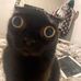 Philip Lamonica - Facebook