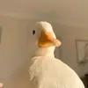 phil_lamp - @philipplampert3 - TikTok