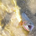 Phil Lang - @phil.lang1945 - Instagram