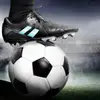 Phil Lang - @transfernews.com - TikTok
