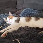 Philippe Delavigne - @delavignephilippe - Instagram