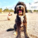 Phil Laws - @plawsy77 - Instagram